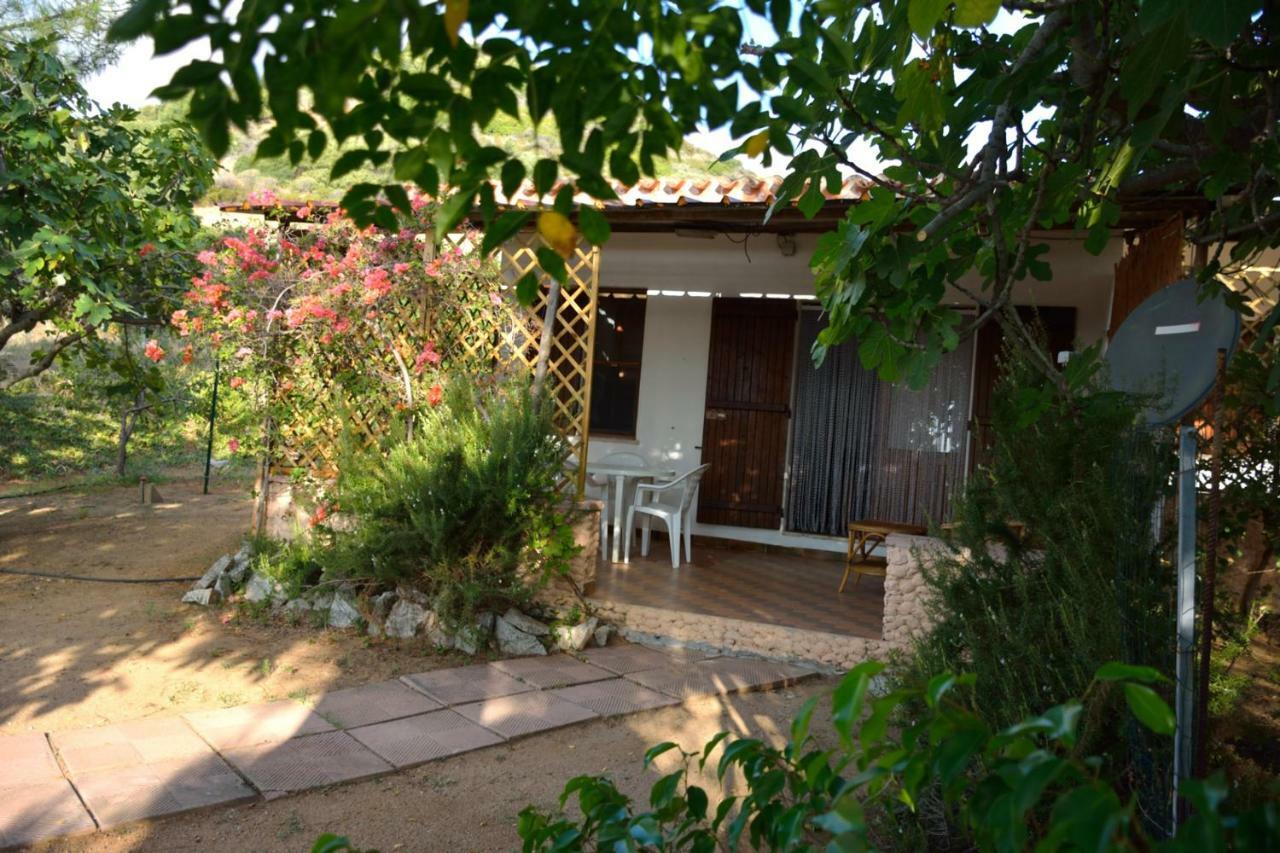 Casa Flora E Casa Aurora Тертения